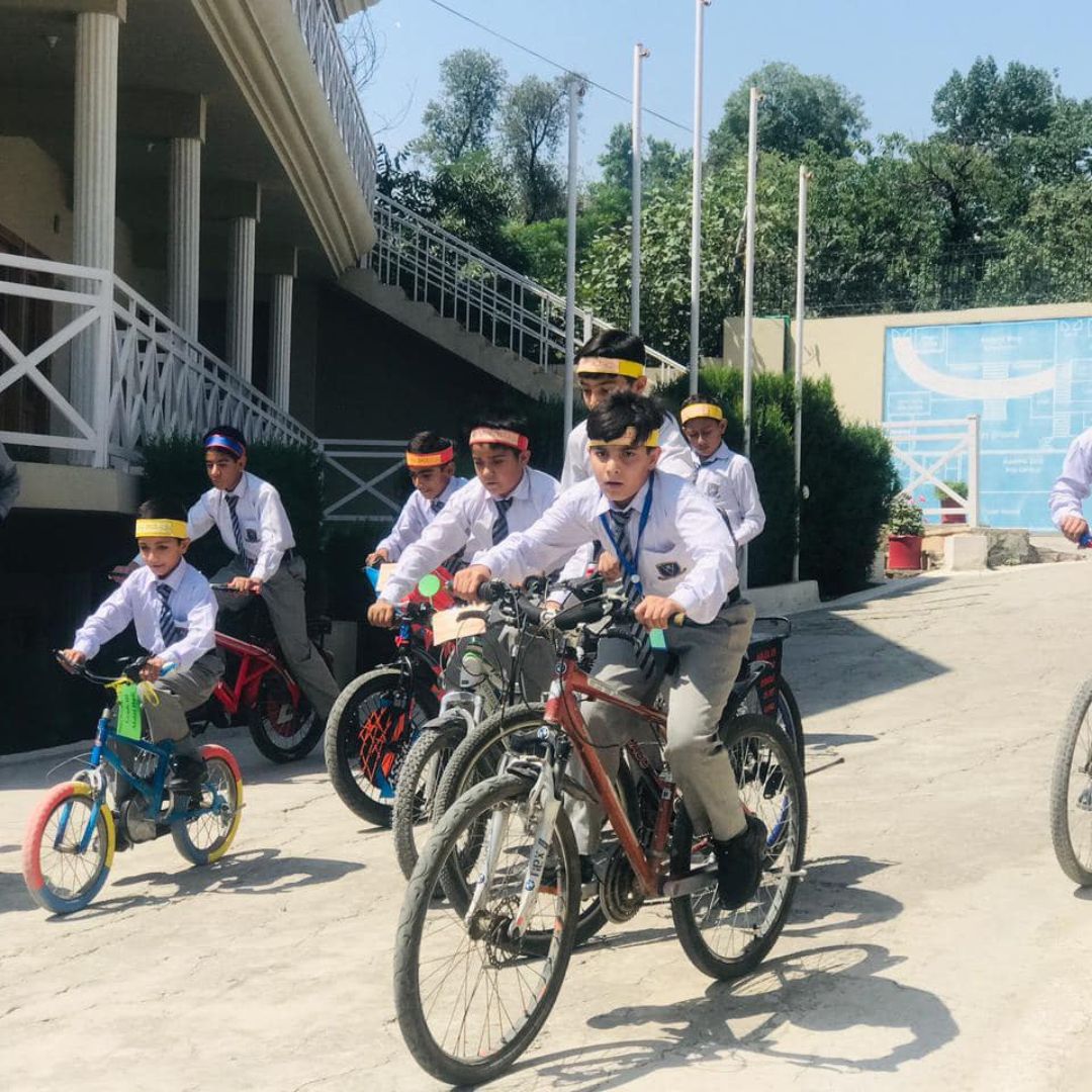 Bicycle Day (1)