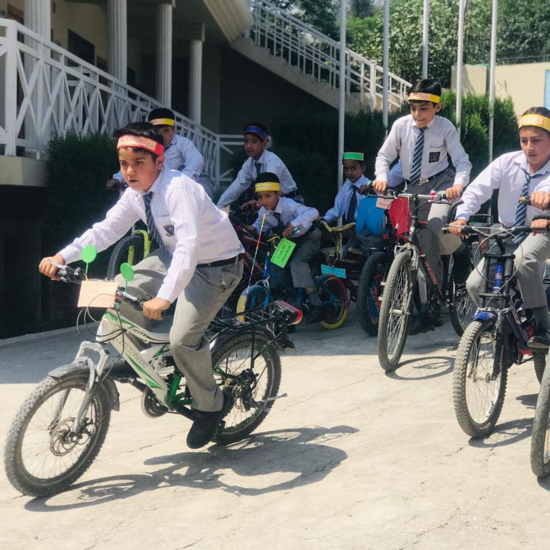 Bicycle Day (2)