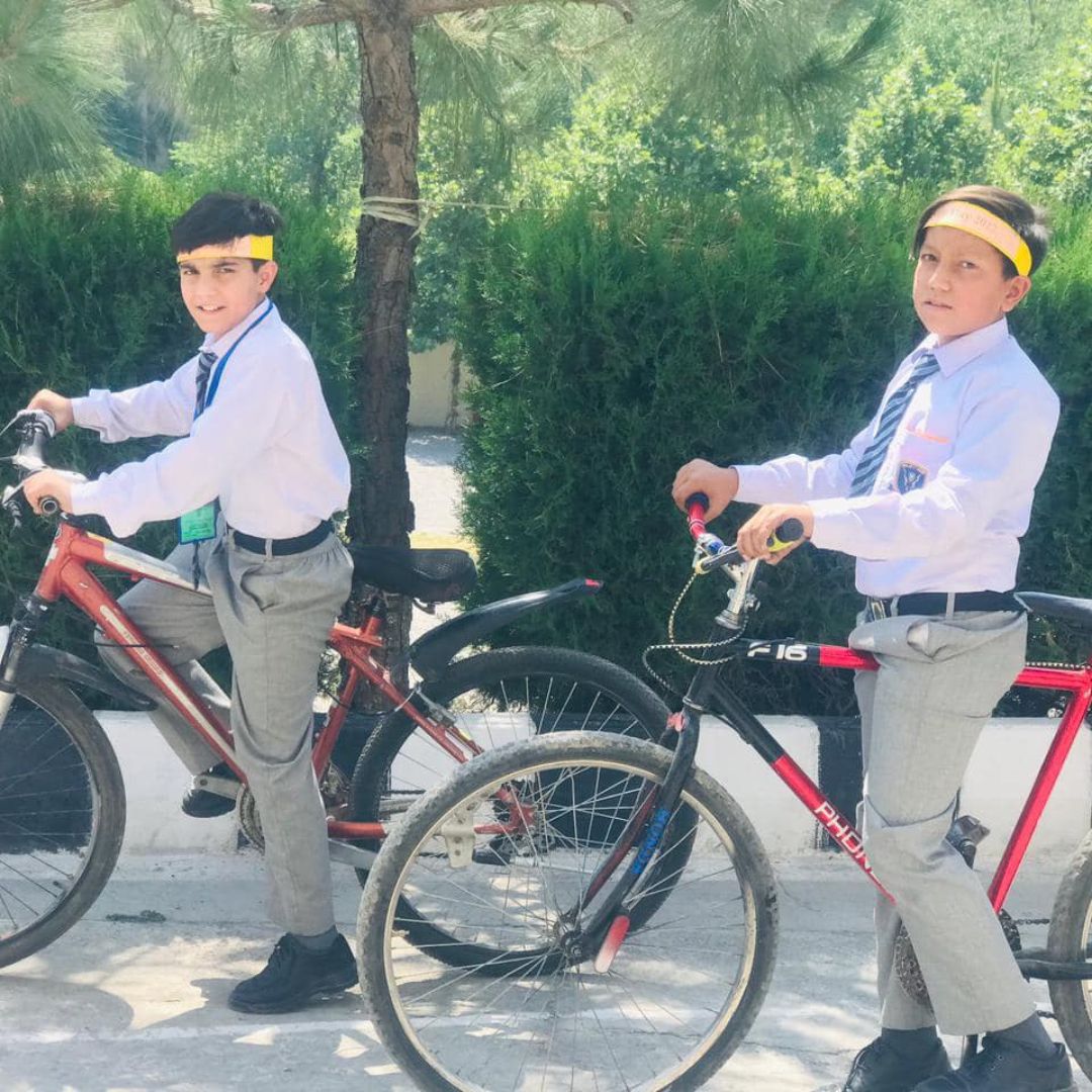 Bicycle Day (3)