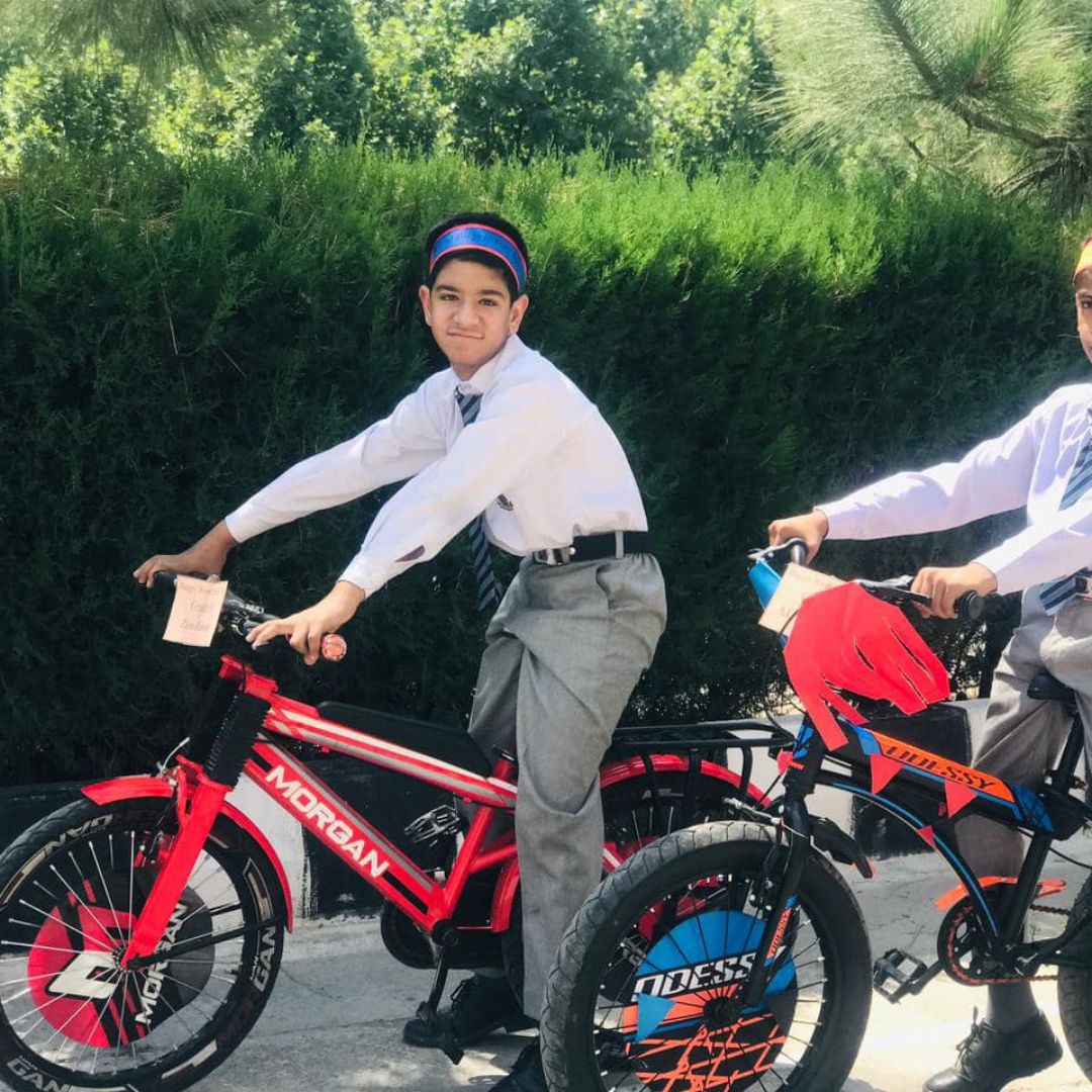 Bicycle Day (4)