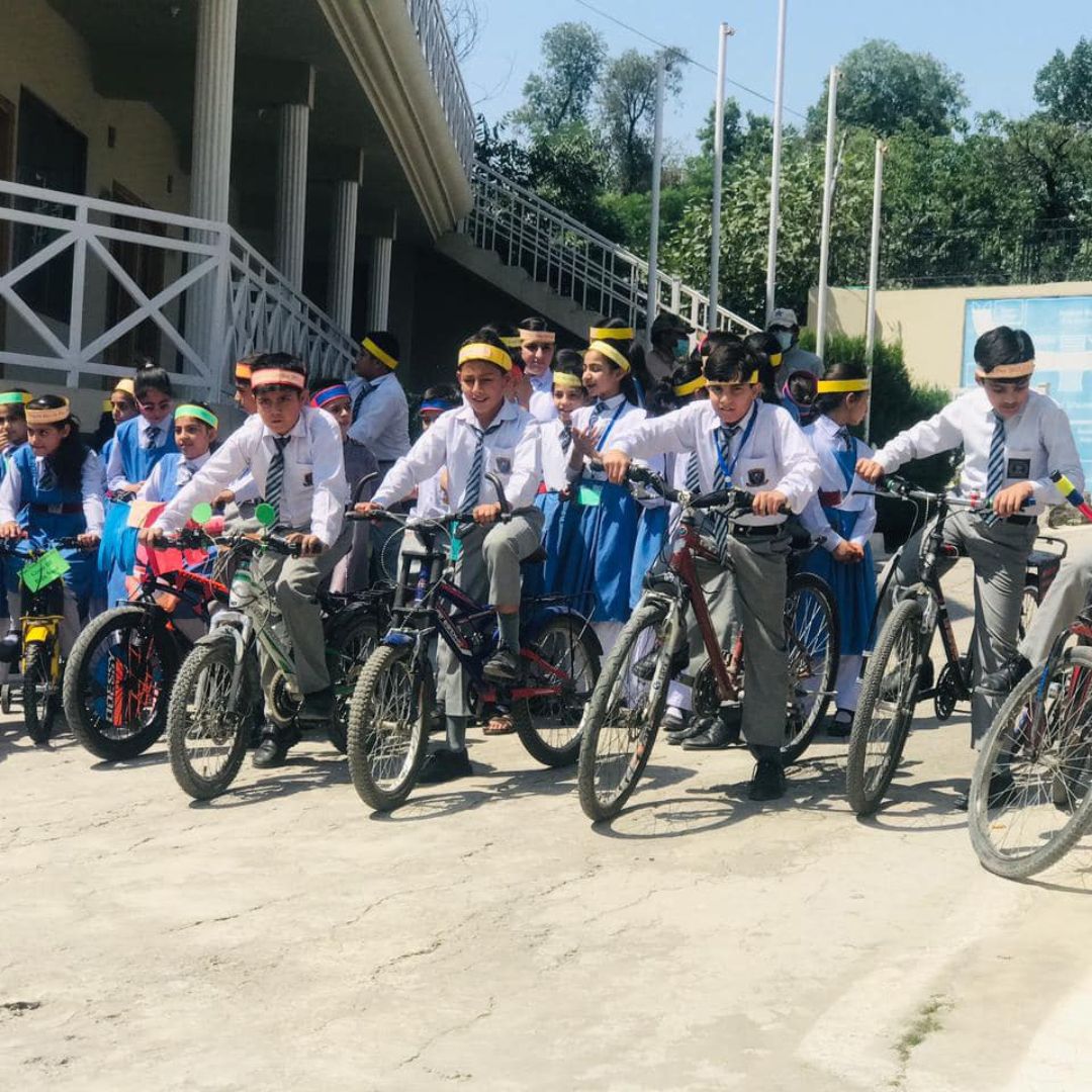 Bicycle Day (6)