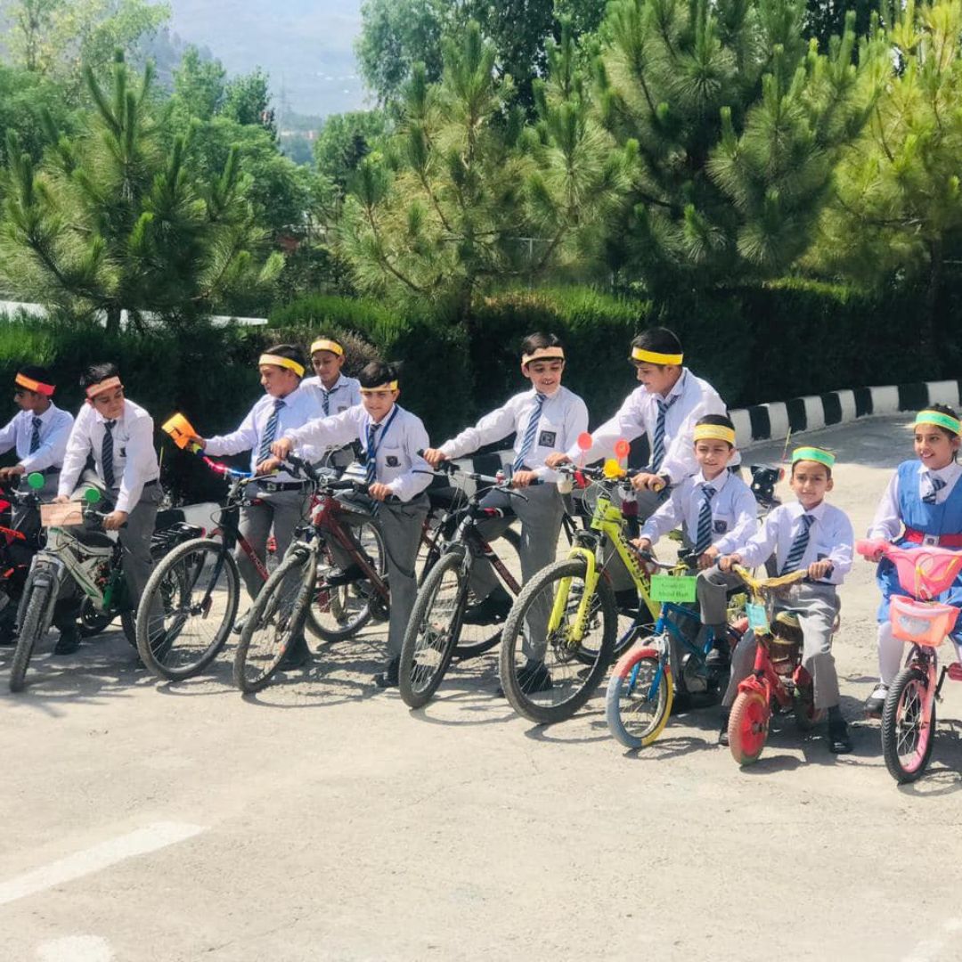 Bicycle Day (7)